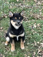 processed/3baa2244-3723-46d0-b078-d0b0db71d170/listing/b8974082-d6b0-4677-b5a1-9b1d92abd370/4130aa63-2a77-4e8c-b61d-7f453b6cb17c