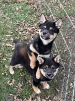 processed/3baa2244-3723-46d0-b078-d0b0db71d170/listing/b8974082-d6b0-4677-b5a1-9b1d92abd370/8b92a06f-383c-48eb-96d6-49bdf395d458