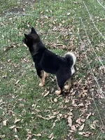 processed/3baa2244-3723-46d0-b078-d0b0db71d170/listing/b8974082-d6b0-4677-b5a1-9b1d92abd370/caee54b3-bf3a-4570-a5ec-0df5d817d5ff