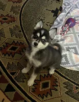 processed/3baa2244-3723-46d0-b078-d0b0db71d170/listing/d9e23ba7-095d-410c-b8bb-6c6496474706/13b3d648-d849-403b-9e41-8dbbda285ae1