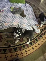 processed/3baa2244-3723-46d0-b078-d0b0db71d170/listing/d9e23ba7-095d-410c-b8bb-6c6496474706/59e86f3c-a669-4893-b1e3-76c152d7b0fd