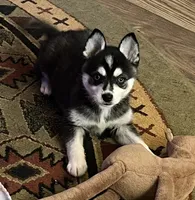 processed/3baa2244-3723-46d0-b078-d0b0db71d170/listing/d9e23ba7-095d-410c-b8bb-6c6496474706/9ed9cc97-be19-425a-951f-4e549640f098