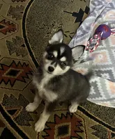 processed/3baa2244-3723-46d0-b078-d0b0db71d170/listing/d9e23ba7-095d-410c-b8bb-6c6496474706/b089c427-95e6-4e88-9be1-08608268fccb