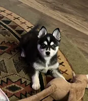 processed/3baa2244-3723-46d0-b078-d0b0db71d170/listing/d9e23ba7-095d-410c-b8bb-6c6496474706/b376e72a-beb2-4ed1-85e9-a77bfc6f58e4