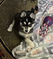 processed/3baa2244-3723-46d0-b078-d0b0db71d170/listing/d9e23ba7-095d-410c-b8bb-6c6496474706/ce0055f4-fdda-4fc3-81ed-ac2dbb178f57