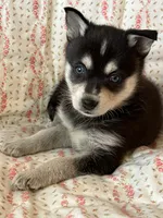 processed/3baa2244-3723-46d0-b078-d0b0db71d170/listing/e49b0dbb-06ce-4dcd-9a95-5c397f7d2ff0/66ad488f-69f8-4b20-a0bd-fcea21bdbfbc