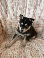 processed/3baa2244-3723-46d0-b078-d0b0db71d170/listing/e49b0dbb-06ce-4dcd-9a95-5c397f7d2ff0/6af62018-bdd2-4215-b3e6-a1880dbbced1