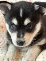 processed/3baa2244-3723-46d0-b078-d0b0db71d170/listing/e49b0dbb-06ce-4dcd-9a95-5c397f7d2ff0/d47fbabc-28d9-46f0-86ed-a0b5b431feb6