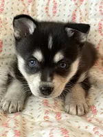 processed/3baa2244-3723-46d0-b078-d0b0db71d170/listing/e49b0dbb-06ce-4dcd-9a95-5c397f7d2ff0/f150d9ab-dac5-43af-9ce4-2b3786e25aa1