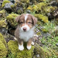 processed/3bab0e16-a66e-4ab9-ac0a-13696171d099/facility/3da7c25b-9721-454b-997b-113401c1f0e1