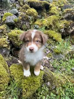 processed/3bab0e16-a66e-4ab9-ac0a-13696171d099/facility/3da7c25b-9721-454b-997b-113401c1f0e1