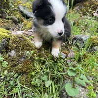 processed/3bab0e16-a66e-4ab9-ac0a-13696171d099/facility/3e086723-8003-449b-98f8-24acb36a74e0