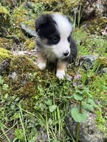 processed/3bab0e16-a66e-4ab9-ac0a-13696171d099/facility/3e086723-8003-449b-98f8-24acb36a74e0