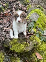 processed/3bab0e16-a66e-4ab9-ac0a-13696171d099/listing/de2b5f40-25a1-45de-a5cf-7384a3df41c9/57084ce0-b7d3-4dcc-8aae-845532404364