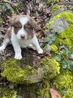 processed/3bab0e16-a66e-4ab9-ac0a-13696171d099/listing/de2b5f40-25a1-45de-a5cf-7384a3df41c9/844b20eb-a095-49eb-a280-adaf4c376a24