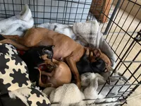 processed/3bab7a89-08d1-4e0d-a4f5-74500cc03734/facility/60855466-9af7-498b-805b-c64bed97b744