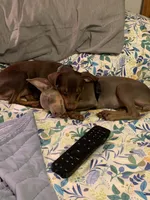 processed/3bab7a89-08d1-4e0d-a4f5-74500cc03734/facility/c63c7cea-e4df-424e-97ae-74376ad57bcf