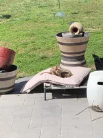 processed/3bab7a89-08d1-4e0d-a4f5-74500cc03734/facility/e68f9d0d-807c-4b28-8ecb-9e07ea21f32f