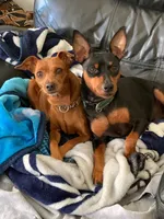 processed/3bab7a89-08d1-4e0d-a4f5-74500cc03734/listing/ad276a34-b39b-4121-ade1-db9452217ac7/4aba2f09-1a70-4038-93be-3c1d820f54b7