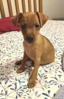 processed/3bab7a89-08d1-4e0d-a4f5-74500cc03734/listing/ad276a34-b39b-4121-ade1-db9452217ac7/83ffaf67-73b5-4297-9c88-910154f33120