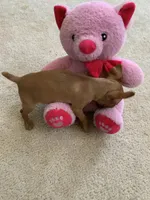 processed/3bab7a89-08d1-4e0d-a4f5-74500cc03734/listing/ad276a34-b39b-4121-ade1-db9452217ac7/ba20fa01-7c56-4ebd-b718-8ad31d876f04