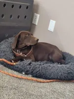 processed/3bace5f1-32cd-424f-bcc0-d2f1f47e08cd/listing/96d939d6-2e83-4dda-8ebe-2a0af01af38d/21c3da5f-9636-4527-8122-5b36d8c73481