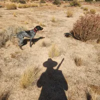 Duke, a male German Shorthaired Pointer for sale in Hesperia, CA – Photo 5 of 6