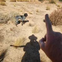 Duke, a male German Shorthaired Pointer for sale in Hesperia, CA – Photo 4 of 6