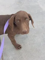 processed/3bace5f1-32cd-424f-bcc0-d2f1f47e08cd/listing/b62e949d-da64-4d7c-b24b-788ea2cfa831/0c23fd25-839d-424a-967f-22705e545518