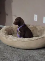 processed/3bace5f1-32cd-424f-bcc0-d2f1f47e08cd/listing/b62e949d-da64-4d7c-b24b-788ea2cfa831/0c7225bf-d4ed-4082-b59e-f939de3f2460