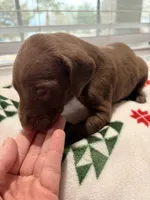 processed/3bace5f1-32cd-424f-bcc0-d2f1f47e08cd/listing/b62e949d-da64-4d7c-b24b-788ea2cfa831/0dd2d90a-f99a-4697-917f-6835541a2f86