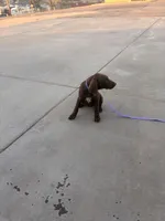 processed/3bace5f1-32cd-424f-bcc0-d2f1f47e08cd/listing/b62e949d-da64-4d7c-b24b-788ea2cfa831/1af7418f-65f8-4d61-946a-a540cb15e975