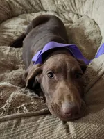 processed/3bace5f1-32cd-424f-bcc0-d2f1f47e08cd/listing/b62e949d-da64-4d7c-b24b-788ea2cfa831/47bc129b-4ed7-4fce-b03e-02f815e5ee06