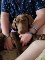 processed/3bace5f1-32cd-424f-bcc0-d2f1f47e08cd/listing/b62e949d-da64-4d7c-b24b-788ea2cfa831/cc9fcb5f-d44c-4b5e-aa5d-500b56ce3184