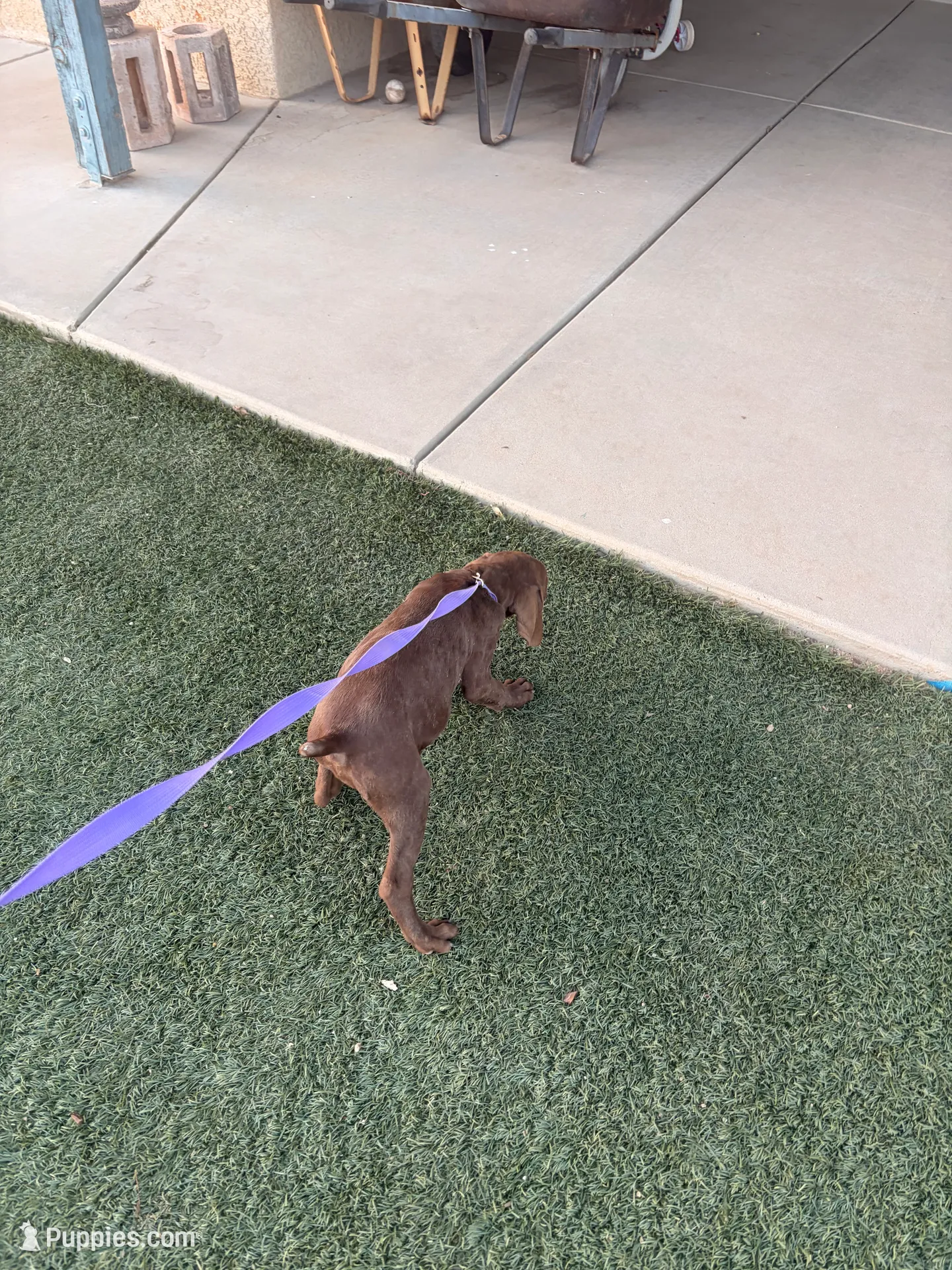 processed/3bace5f1-32cd-424f-bcc0-d2f1f47e08cd/listing/b62e949d-da64-4d7c-b24b-788ea2cfa831/d4d0bddd-6d3c-4e44-ad6d-ecfd58374312