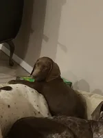 processed/3bace5f1-32cd-424f-bcc0-d2f1f47e08cd/listing/b62e949d-da64-4d7c-b24b-788ea2cfa831/d7df6502-53d6-4df2-a545-4ec45977360d