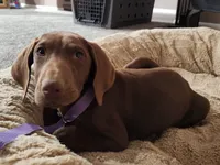 processed/3bace5f1-32cd-424f-bcc0-d2f1f47e08cd/listing/b62e949d-da64-4d7c-b24b-788ea2cfa831/f2563a31-0fe7-45b2-b91d-aec9fac069e6