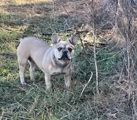 processed/3badcf43-468b-4e38-be81-00f9a7f3ba24/facility/00440683-5774-43c5-949a-6d6e4e19270a