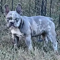 processed/3badcf43-468b-4e38-be81-00f9a7f3ba24/facility/0a0afd54-8d64-438f-88b8-1386ffa710d9