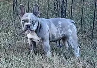 processed/3badcf43-468b-4e38-be81-00f9a7f3ba24/facility/0a0afd54-8d64-438f-88b8-1386ffa710d9