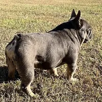 processed/3badcf43-468b-4e38-be81-00f9a7f3ba24/facility/120f3a19-12fe-4e69-a33b-cafcccd88000