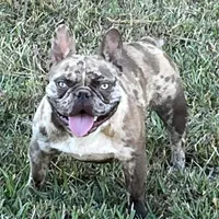 processed/3badcf43-468b-4e38-be81-00f9a7f3ba24/facility/22ee7e80-4e48-4571-ba74-3168c54ecb3f