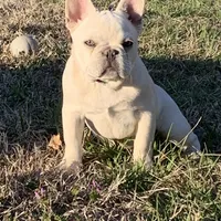 processed/3badcf43-468b-4e38-be81-00f9a7f3ba24/facility/281ddb82-e834-4e95-9a7b-e4cb9cd8cb13