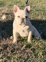 processed/3badcf43-468b-4e38-be81-00f9a7f3ba24/facility/281ddb82-e834-4e95-9a7b-e4cb9cd8cb13