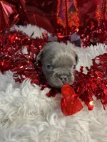 processed/3badcf43-468b-4e38-be81-00f9a7f3ba24/listing/3c1c849c-9563-43d4-88b6-9af7adfaa276/b342e9f9-ca58-4779-8a77-d07ac90155aa