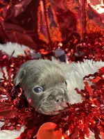 processed/3badcf43-468b-4e38-be81-00f9a7f3ba24/listing/3c1c849c-9563-43d4-88b6-9af7adfaa276/f37ae4d4-5039-414c-b388-e082aa32abeb