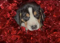 processed/3bbc238e-fce4-4116-b77f-6776f25c8afe/listing/5375da88-4bac-4c02-a566-cd244f0c727c/a6ab1e5a-89f7-49b2-99e5-190bce74c7fa