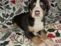 processed/3bbc238e-fce4-4116-b77f-6776f25c8afe/listing/5375da88-4bac-4c02-a566-cd244f0c727c/d5ae6ed3-d1e3-4291-89db-90cc1658469a