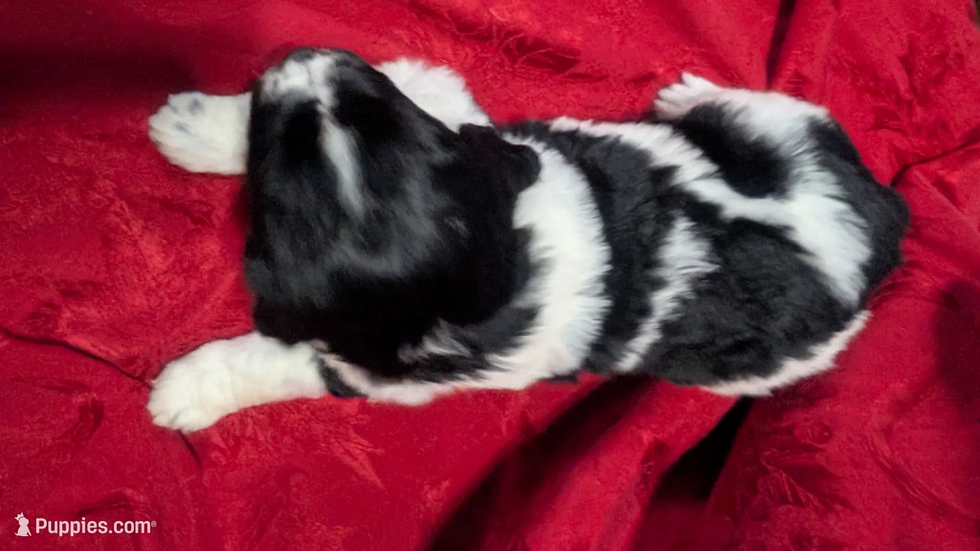 processed/3bc161ed-6bd5-4b3e-a4eb-a877cbced9b4/listing/59aba0dc-2251-482e-8ab0-0244c9444b89/4d77dc16-451a-49e9-99a7-737919be8ce4