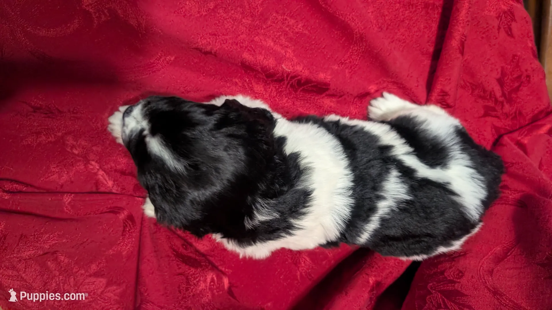 processed/3bc161ed-6bd5-4b3e-a4eb-a877cbced9b4/listing/59aba0dc-2251-482e-8ab0-0244c9444b89/4fb35a8b-6746-40ba-b8de-dd34b2a6e68b